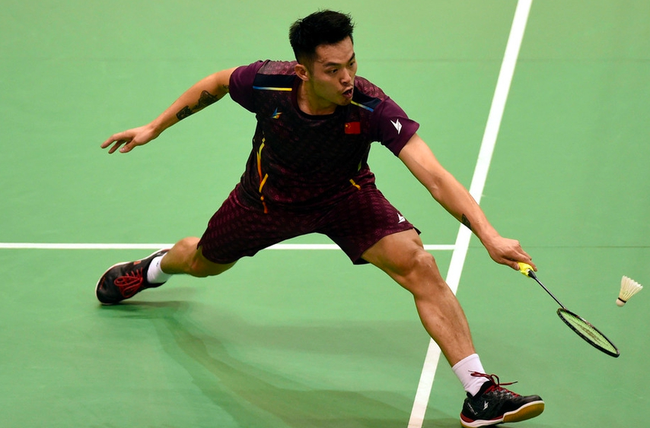 使得灰熊在 使得灰熊在